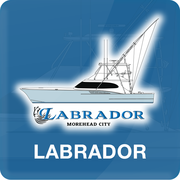 Labrador