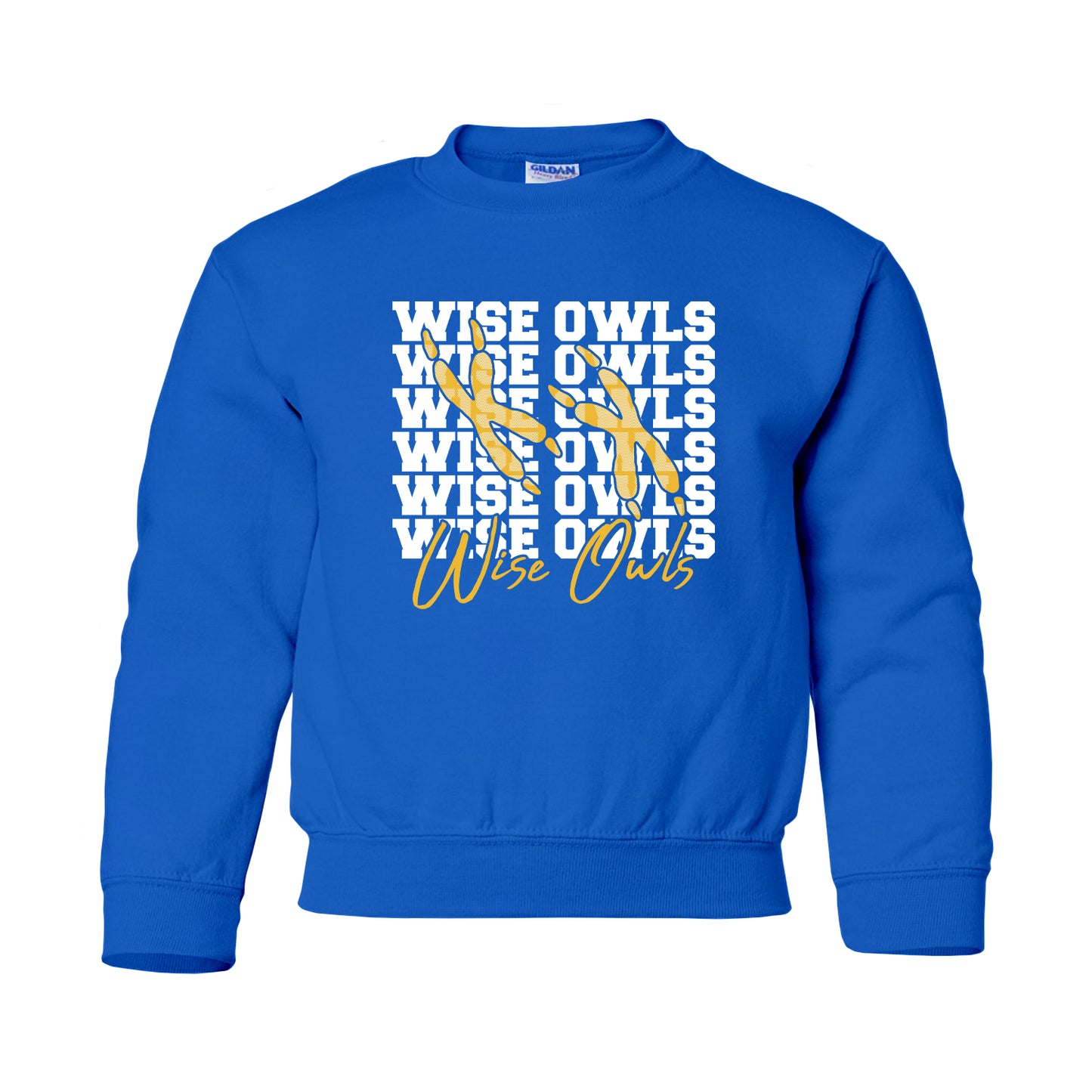 WVE Wise Owls Repeat (Youth)