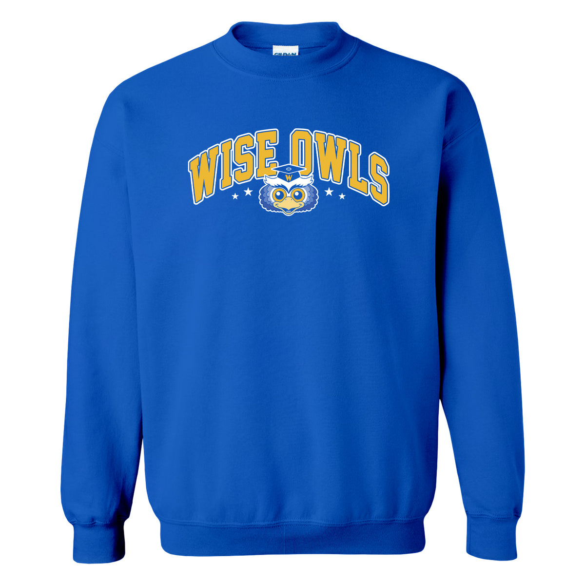 WVE Wise Owl University Arch (Adult)
