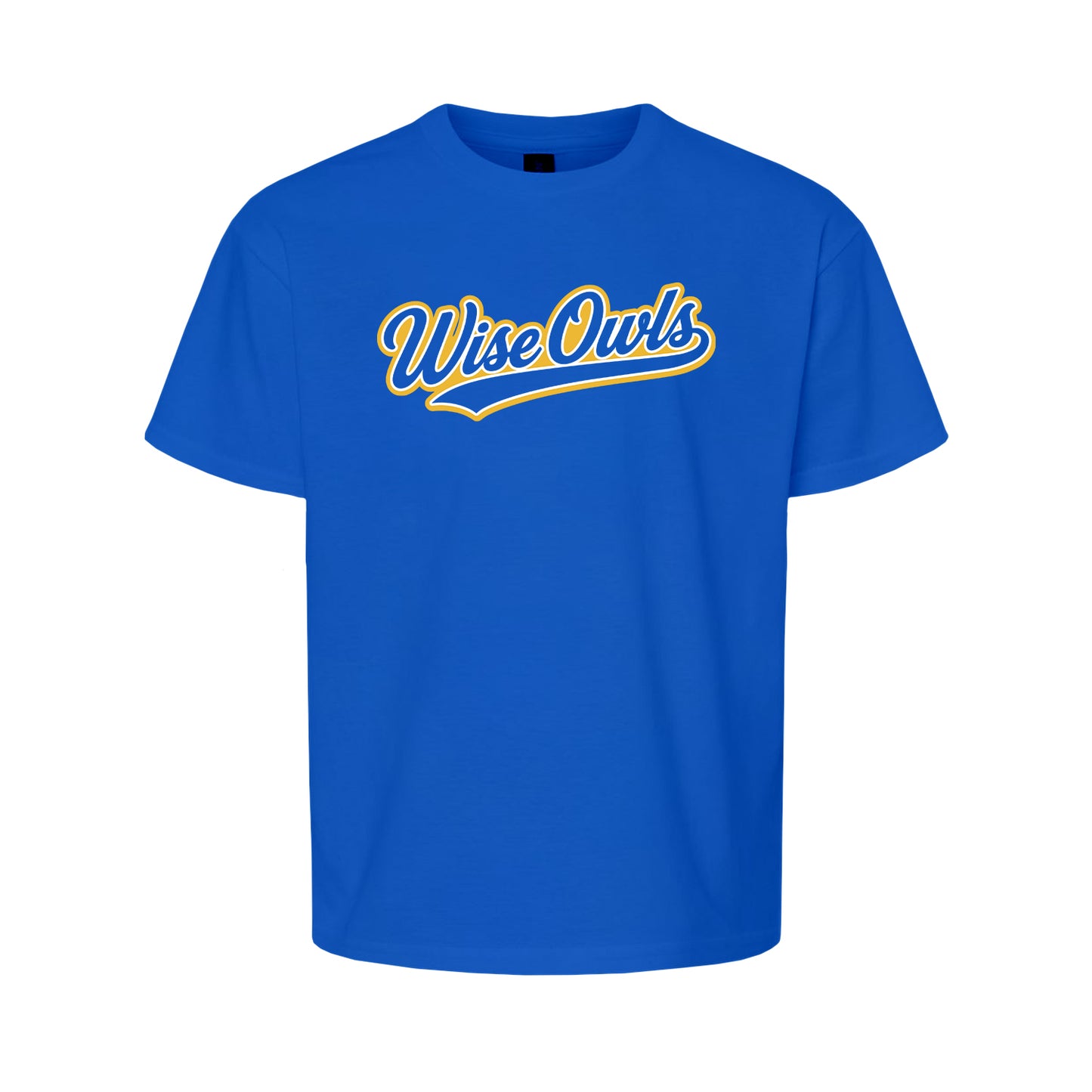 WVE Wise Owls Baseball Script (Youth)