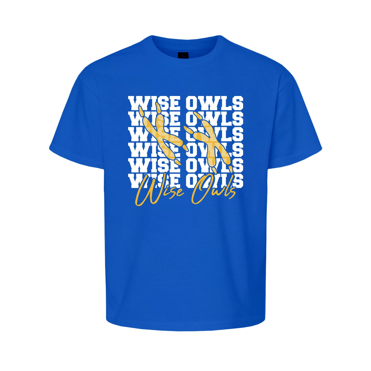 WVE Wise Owls Repeat (Youth)