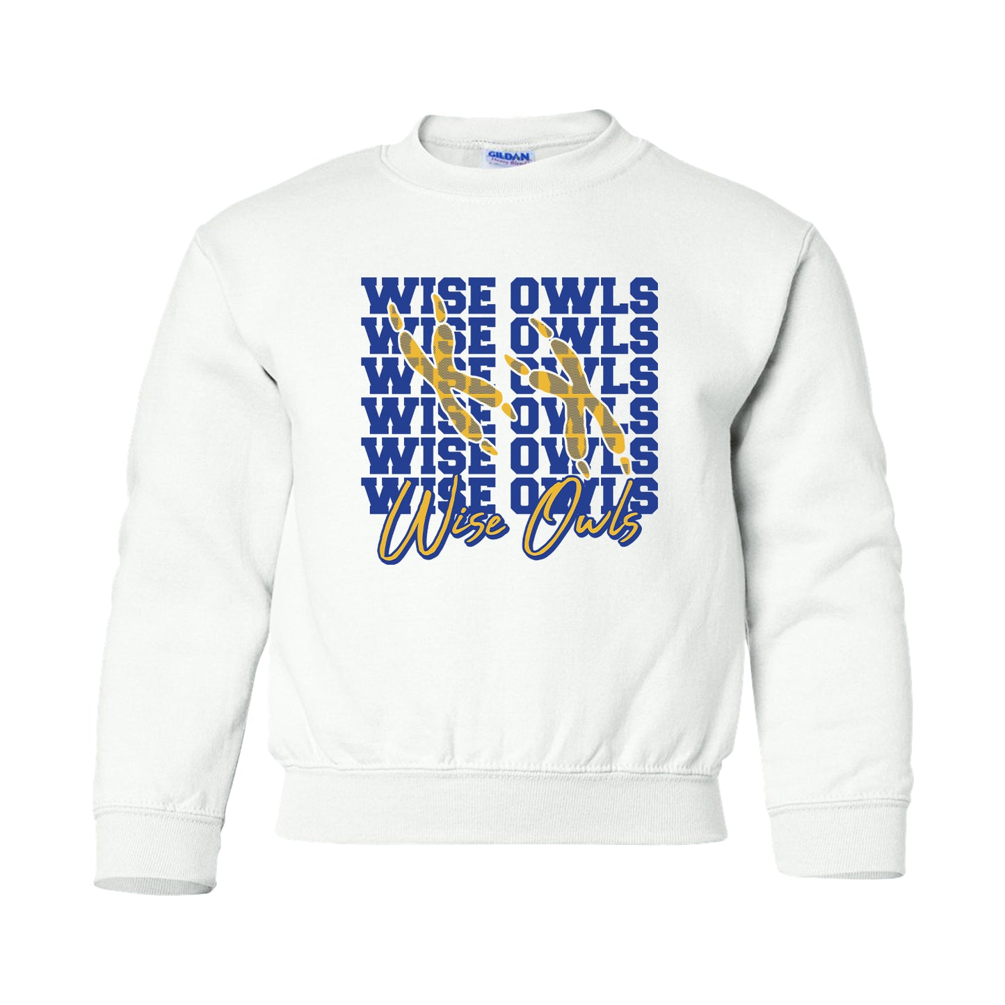 WVE Wise Owls Repeat (Youth)